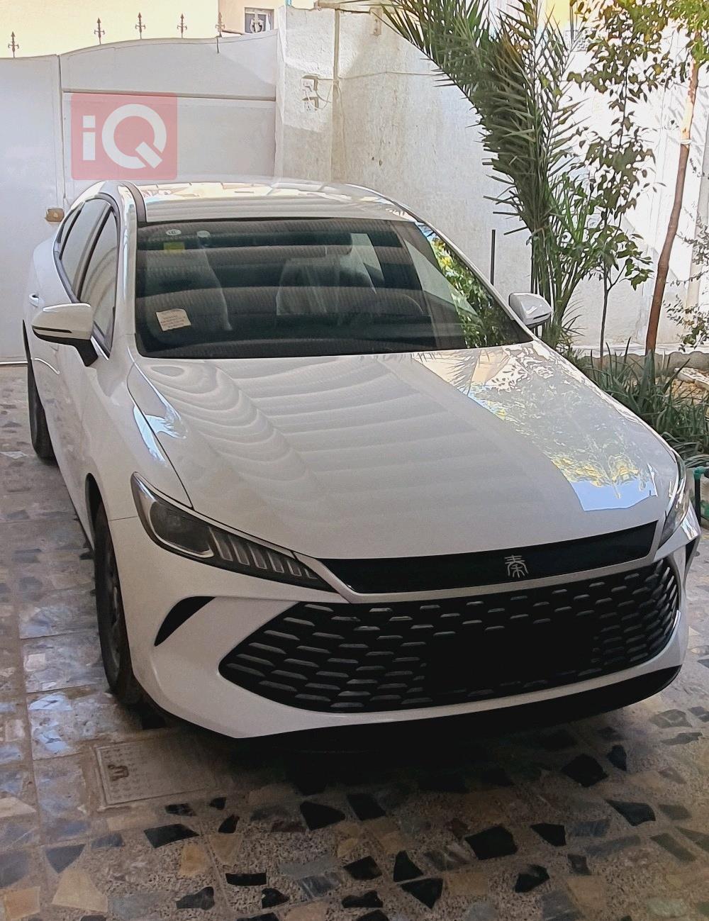 بی وای دی Qin Plus